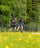 The best roller skis for the summer training. lear all about roller ski training.